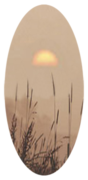 Harvest Sunrise Bronze